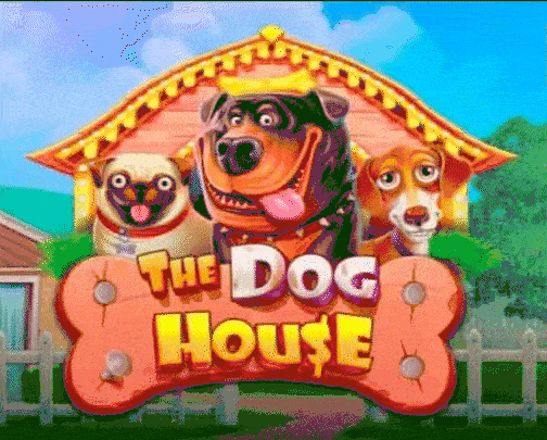 play the dog house in zebetcasino