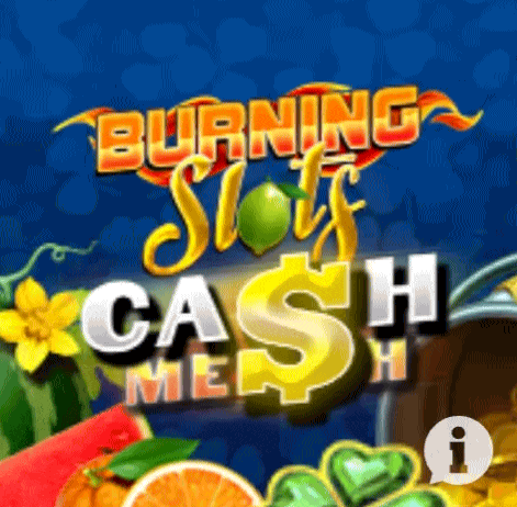 play burning slots in zebetcasino